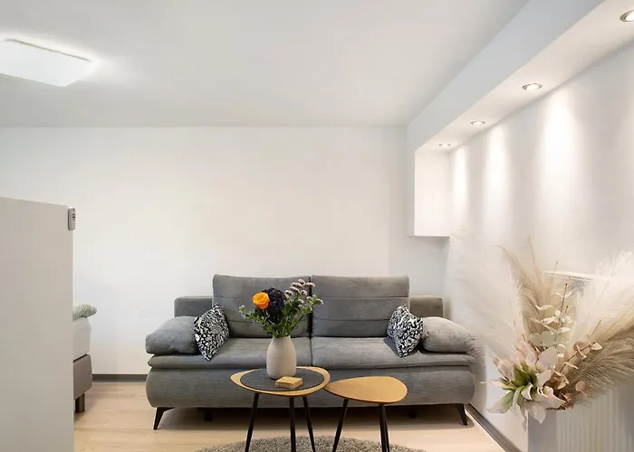 Schoenauer Hof - Wohnung Lux
