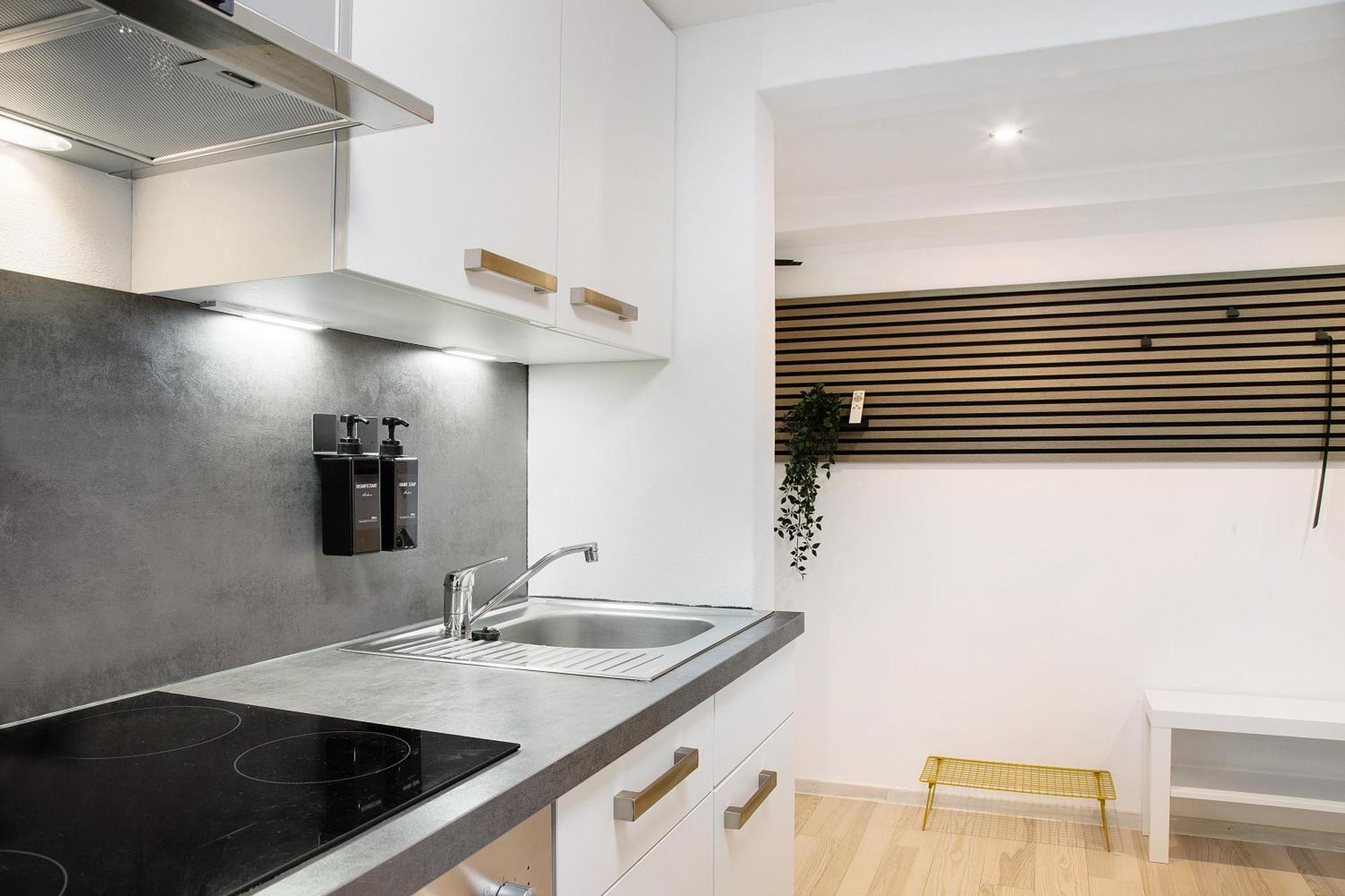 Schoenauer Hof - Lux Apartment Passau